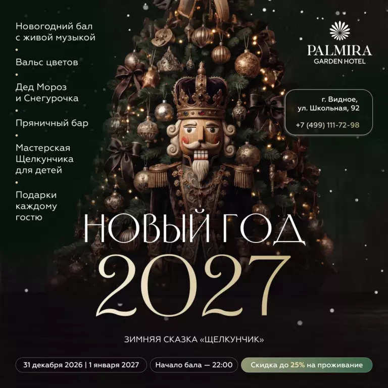 Новый год 2027